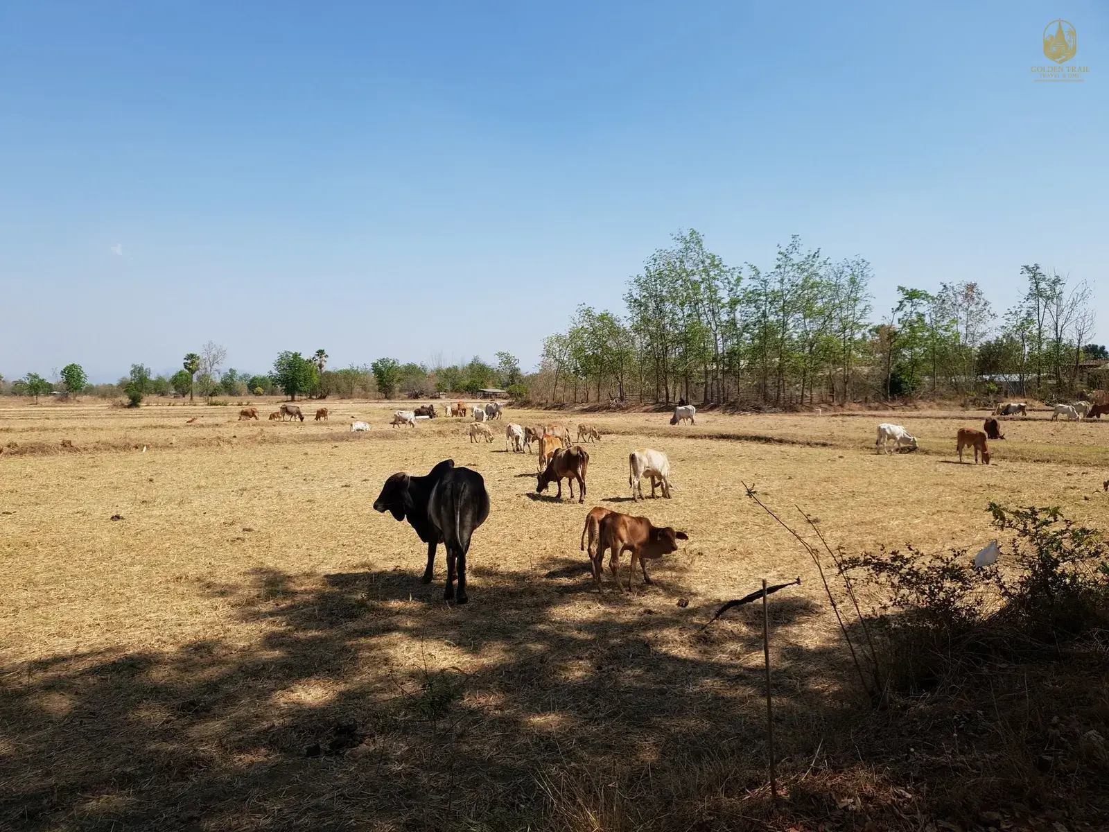 The Ultimate Odyssey: A Comprehensive Guide to a Vietnam Bike Tour South to North